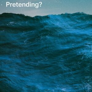 Franzen, Jonathan: What If We Stopped Pretending?