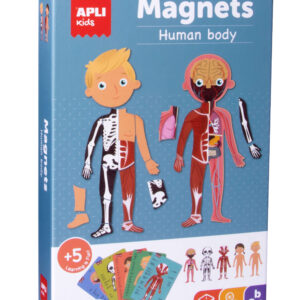 The human body magnets (magneettipeli)